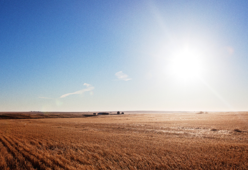Wide-angle view of Canadian farmland featuring a sunny blue sky